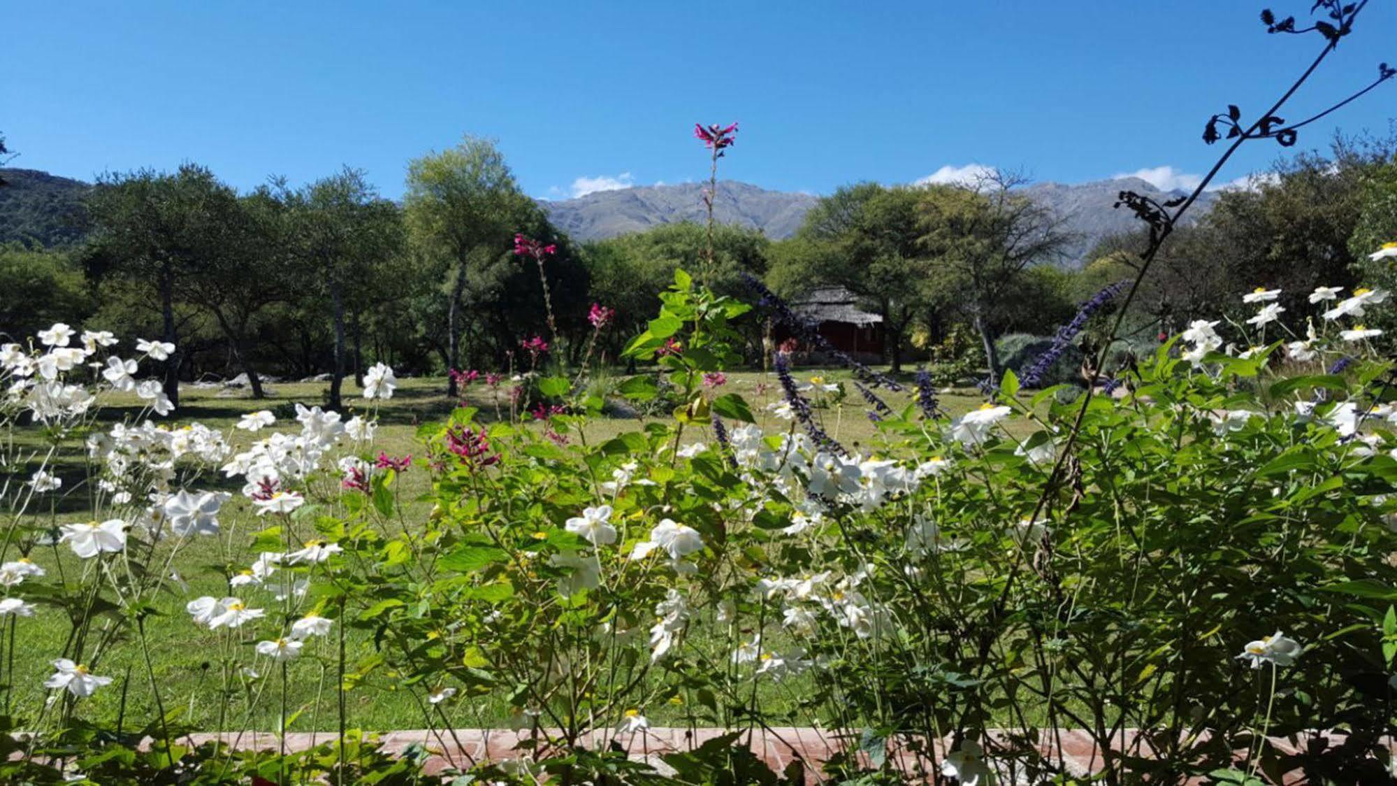Las Dalias Villa de las Rosas Exterior foto